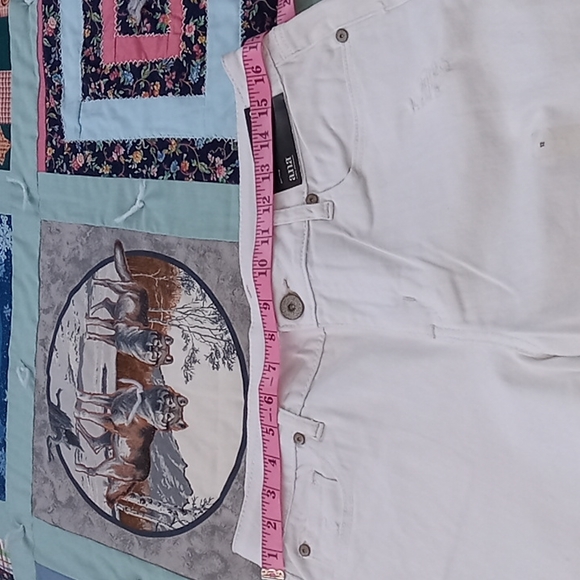 NWT,Cute,a.n.a,Lightly Distressed, Ankle/Crop,Jeans with Embroidered Frayed Hems - Picture 8 of 16